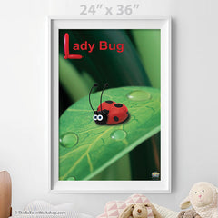 Balloon Lady Bug Poster